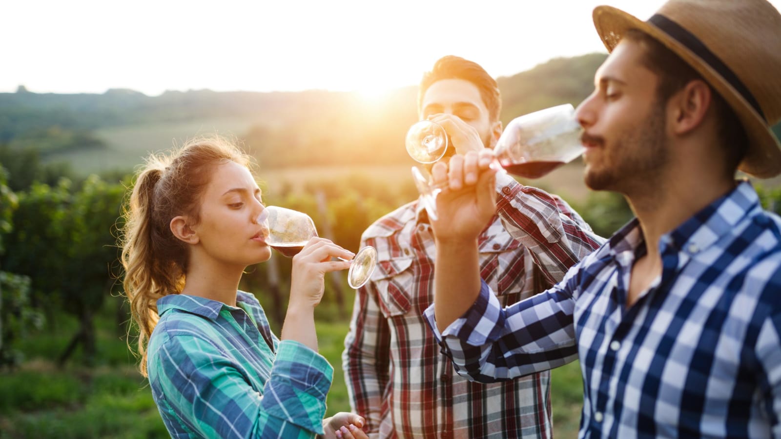 Romanian Wineries Tour from Bucharest