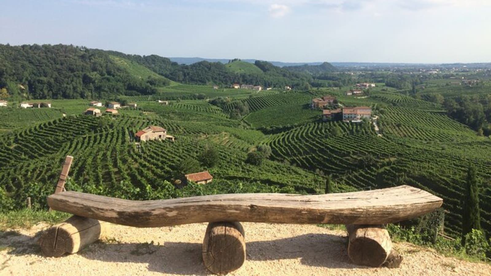 Full Day Wine Tour and Tasting in the Prosecco Region