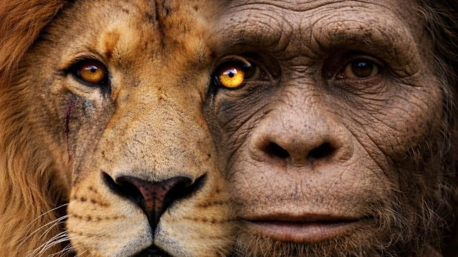 Cradle of Humankind Tour combined with a Lion Safari from Johannesburg