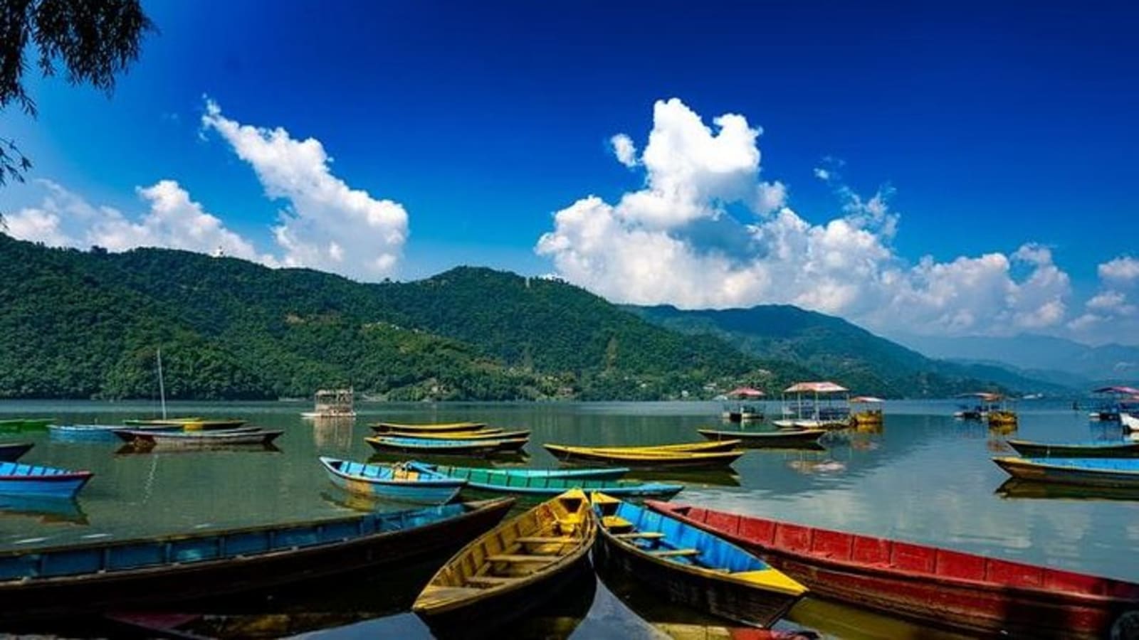 Pleasing Pokhara City with captivating Chitwan Jungle Tour from Kathmandu
