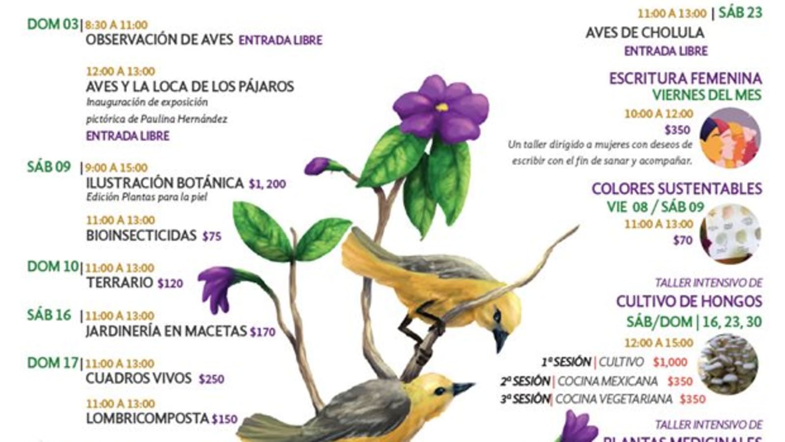 JARDIN ETNOBOTANICO FRANCISCO PELÁEZ- ROSMARINUS