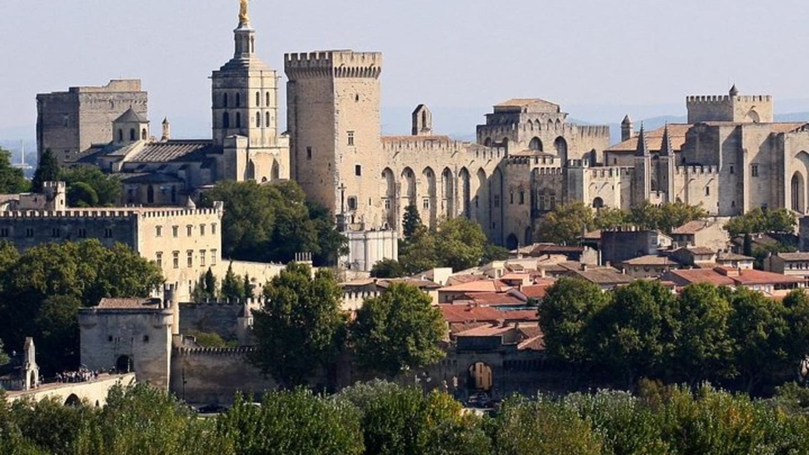 Full private day Avignon Chateuneuf du pape wine tasting