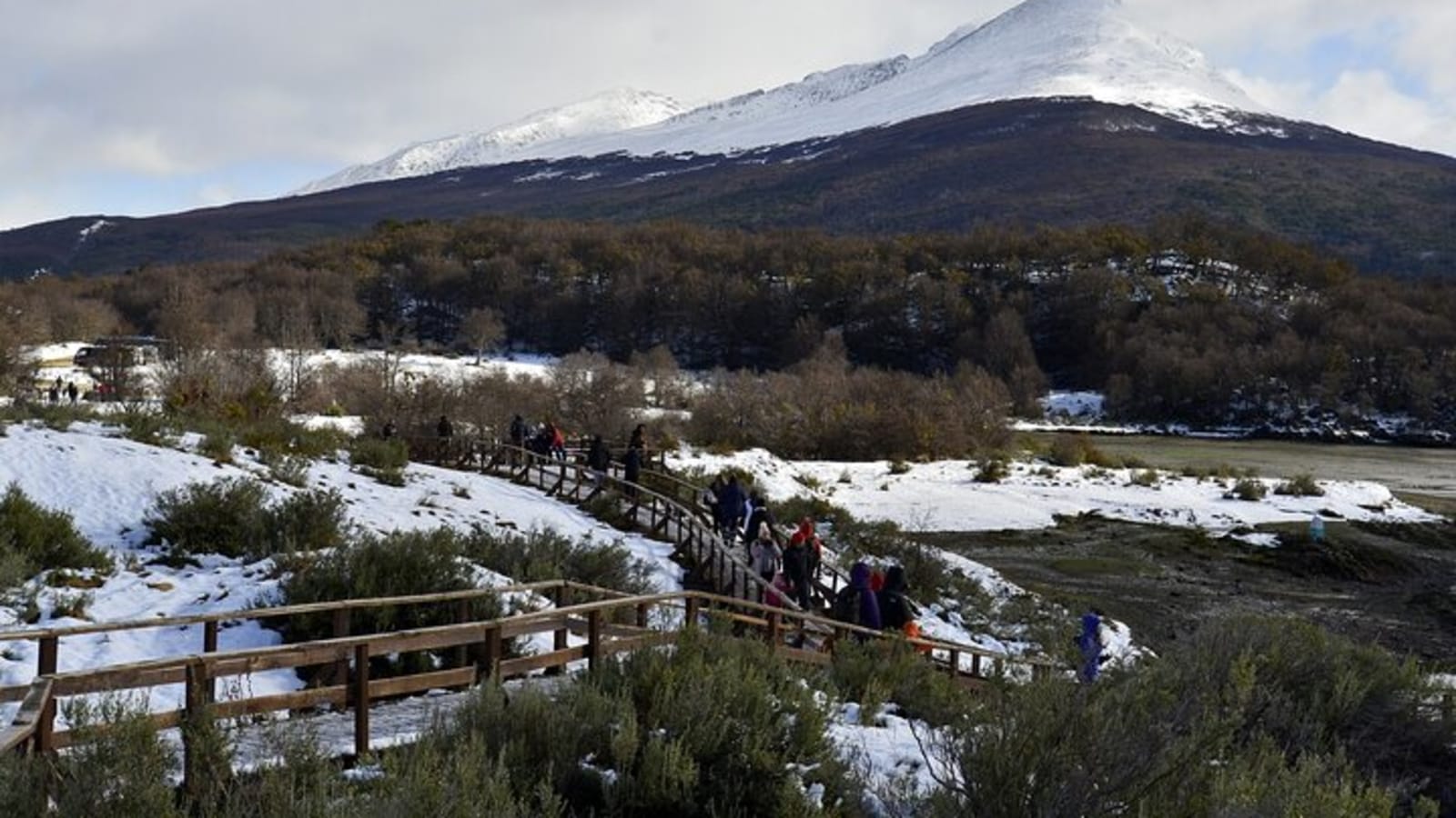 Tierra del Fuego National Park USHUAIA (Shared tour)