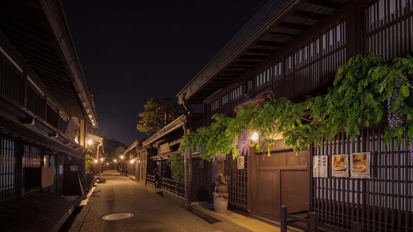 Night Walking Tour in Takayama (40 Minutes)