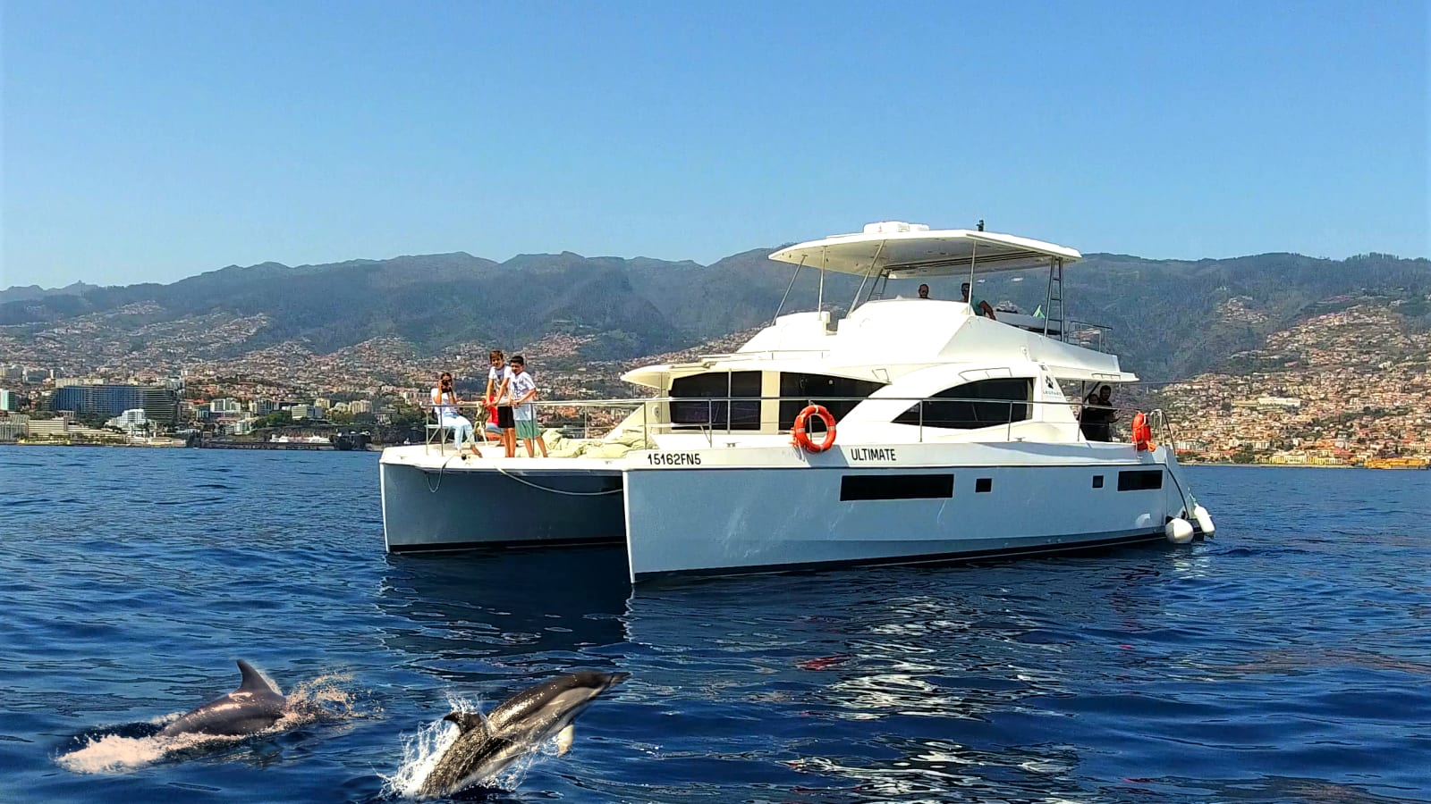 VipDolphins All Inclusive Dolphin and Whale Watching