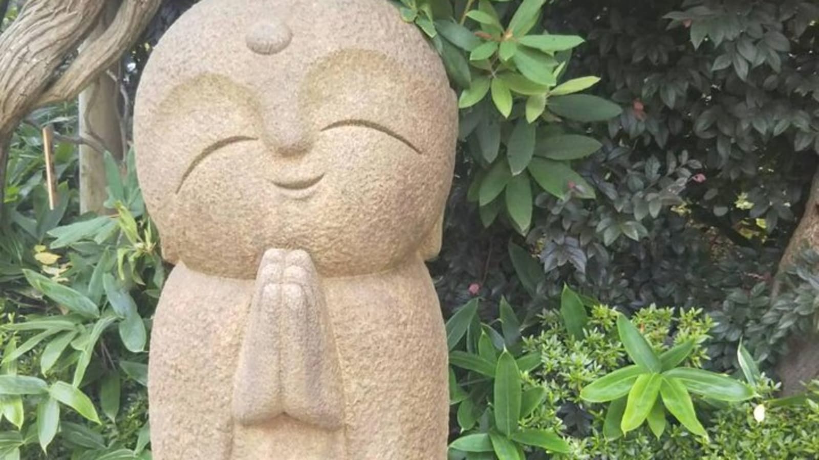 Kamakura Temples Private Guided Tour from Tokyo