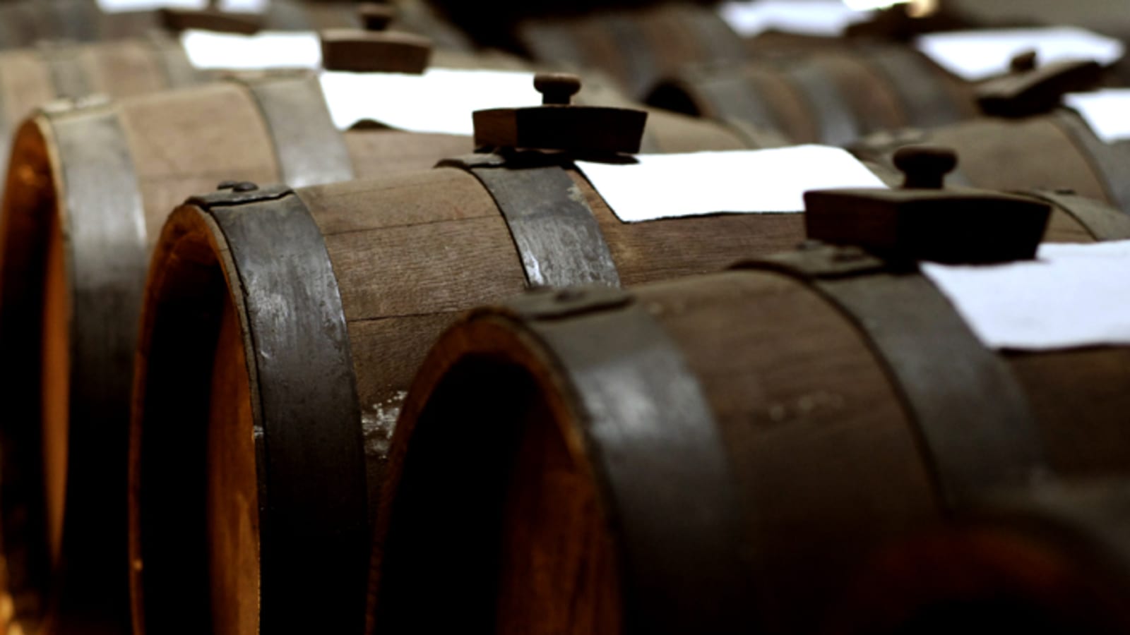 Modena area: Balsamic Vinegar “Aceto” Tasting Experience