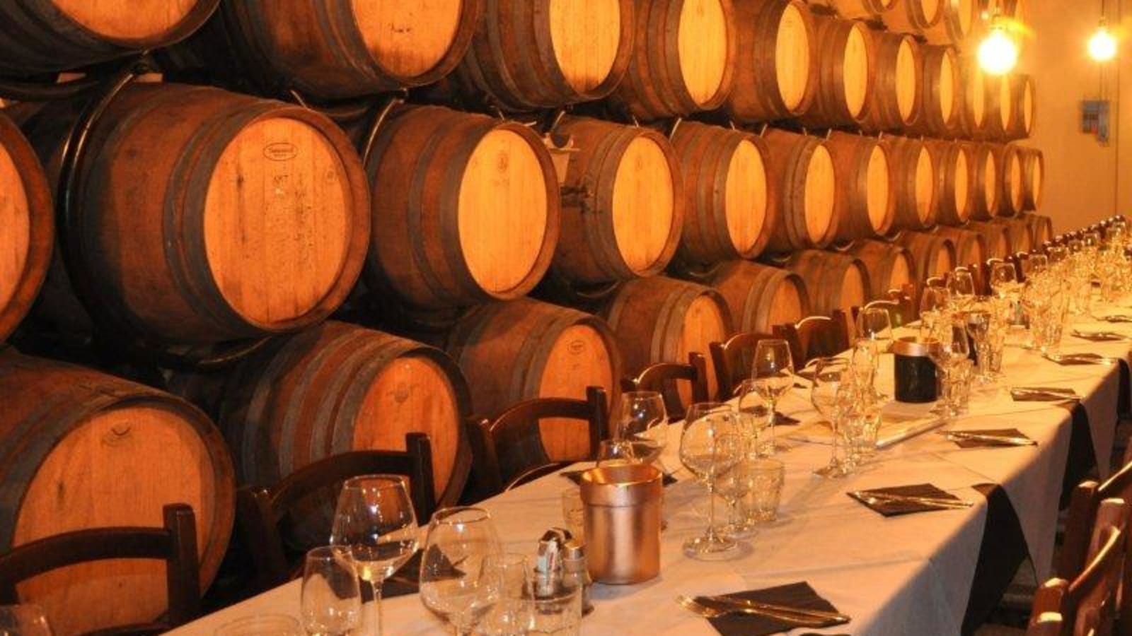 Wine Tasting Experience in San Gimignano Area
