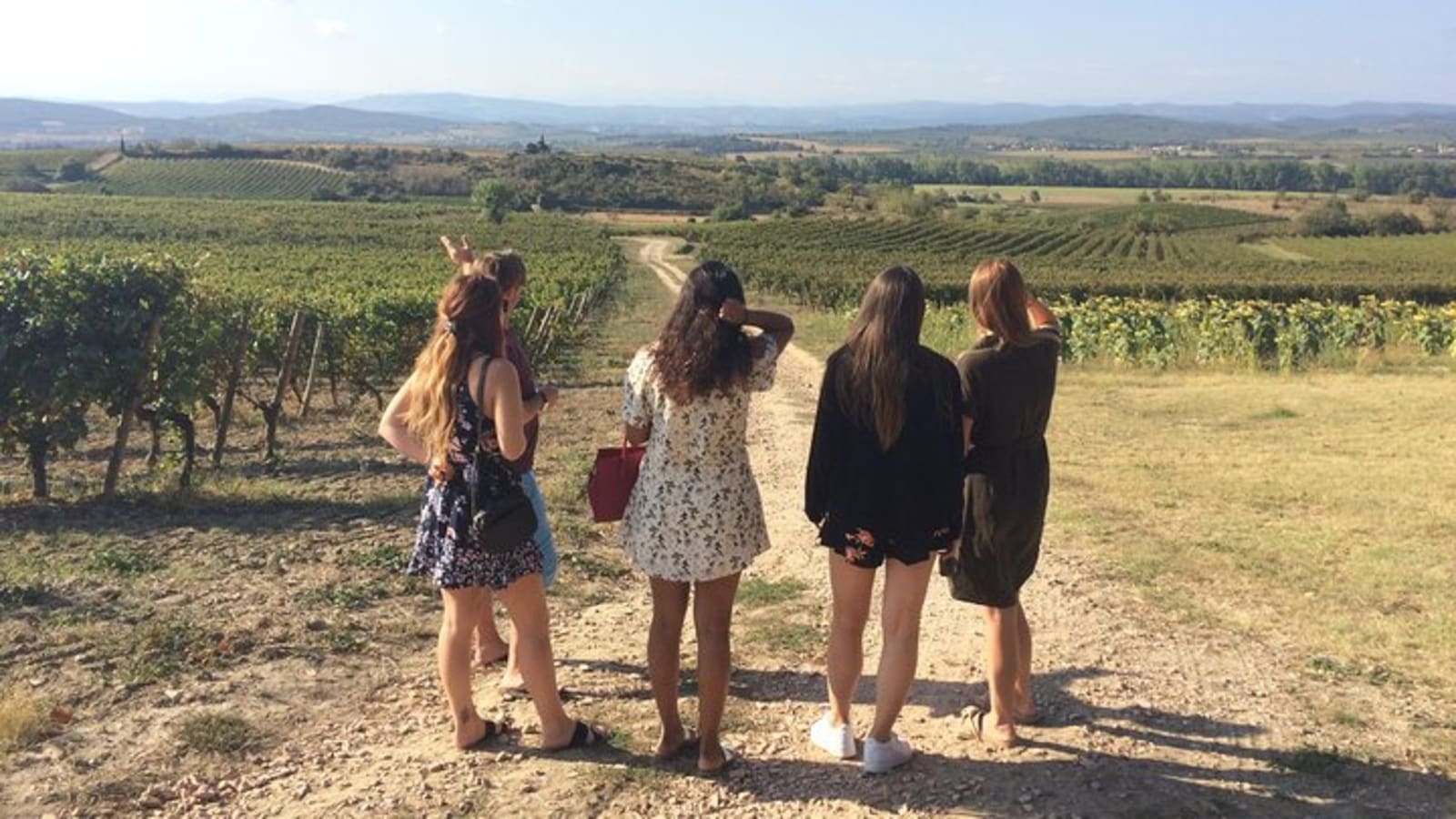 Cite9 de Carcassonne and Wine Tasting Private Day Tour from Toulouse