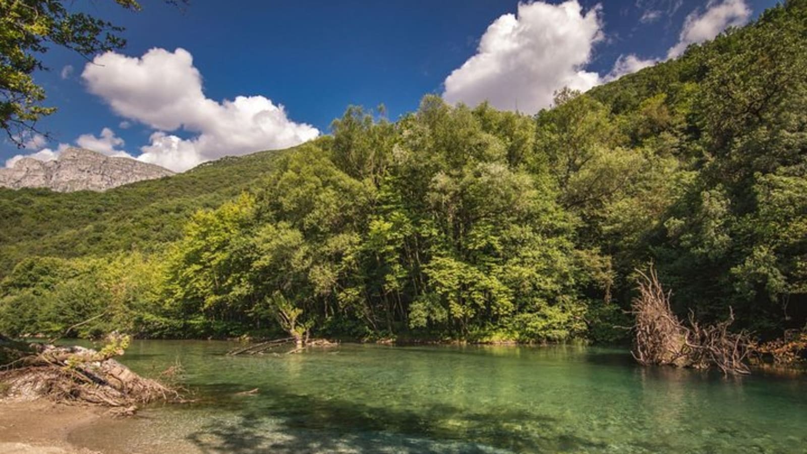 Vikos Gorge and Papingo One Day Tour from Ioannina