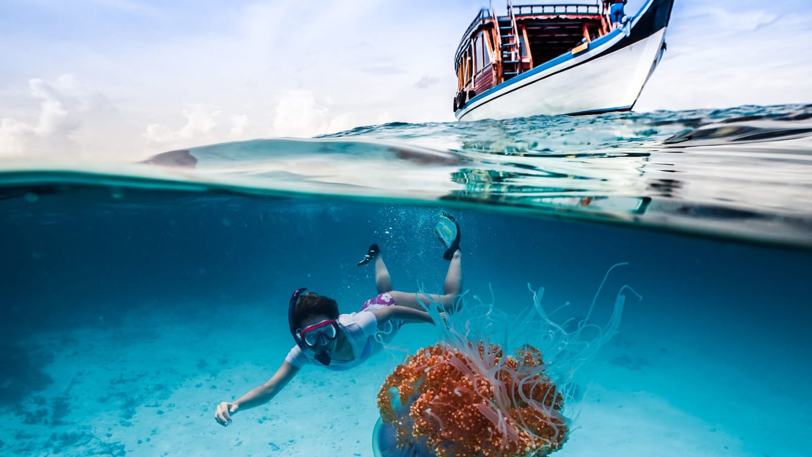 Guided Snorkeling Trip