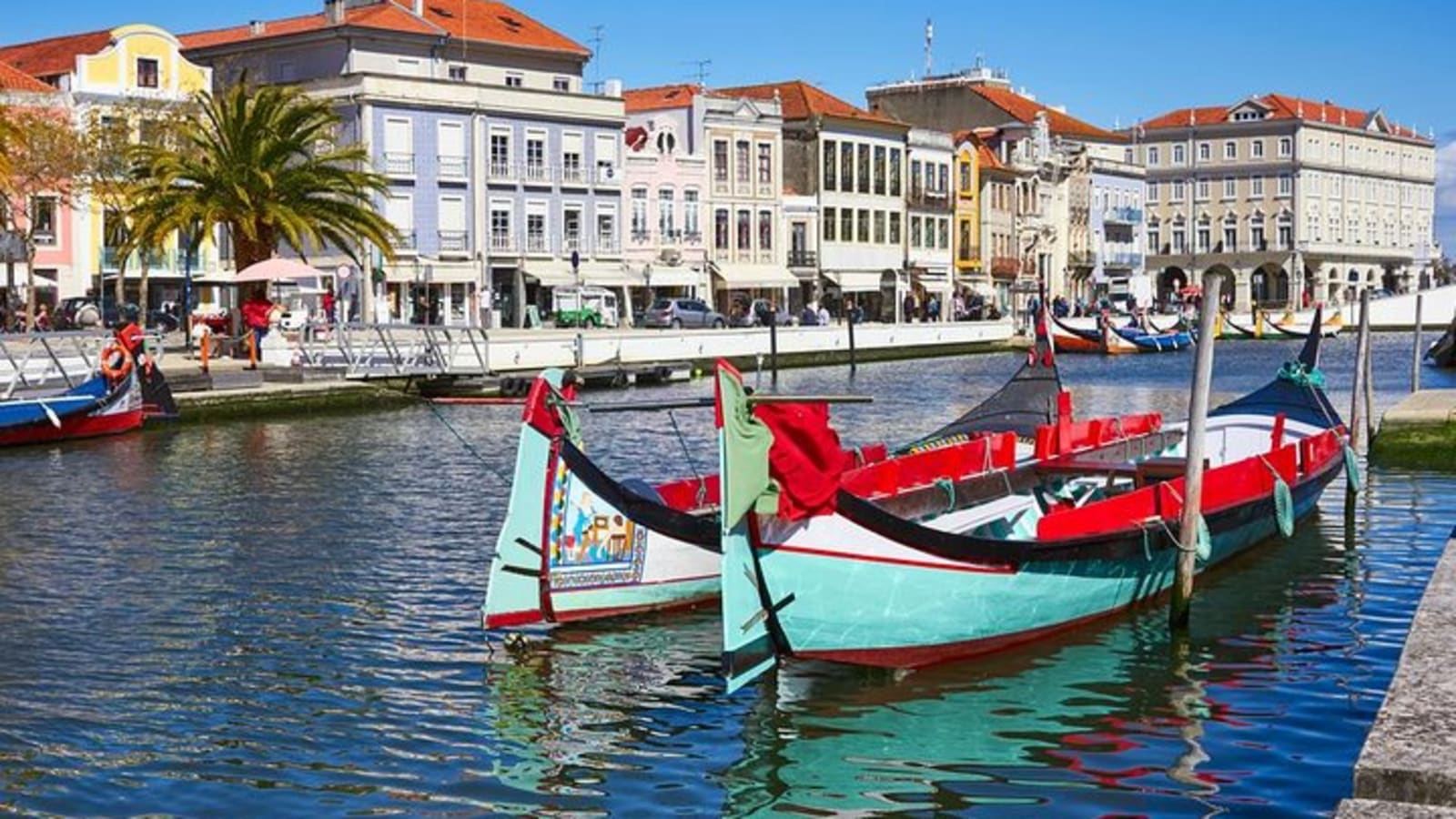 Aveiro and Costa Nova with Moliceiro Cruise Half Day PRIVATE