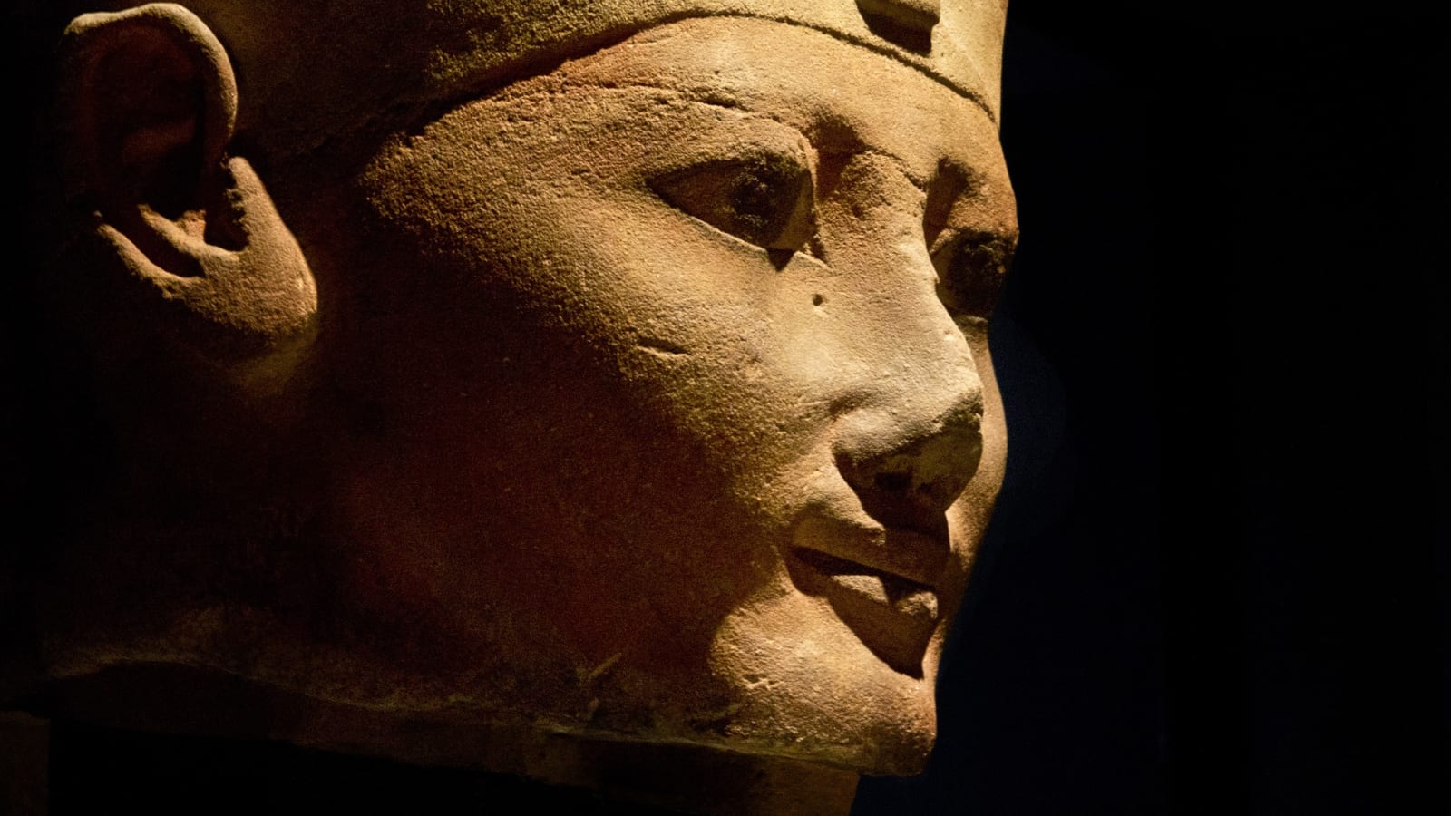 Turin: Egyptian Museum guided experience