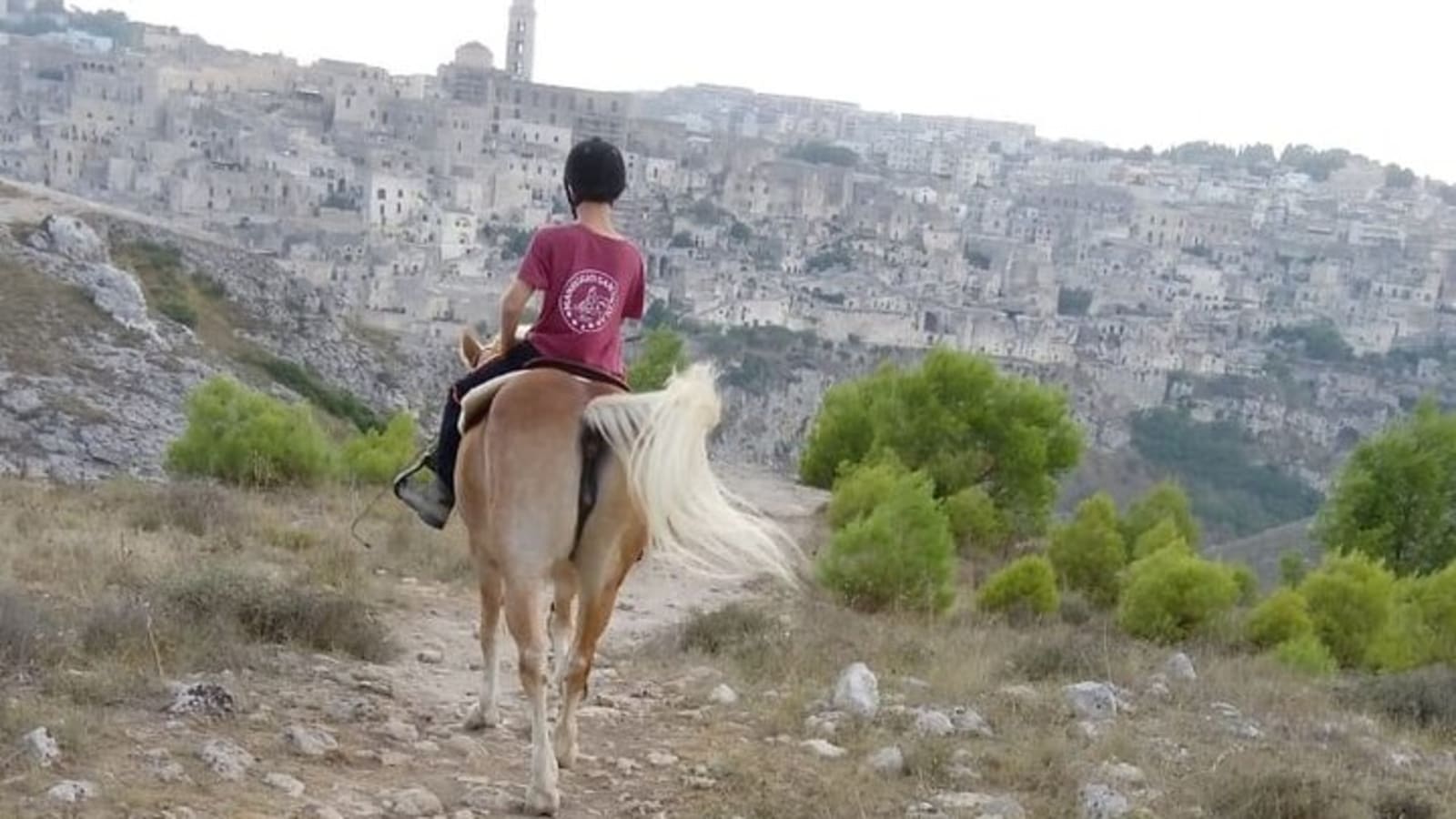 Murgia Park: Horse riding tour