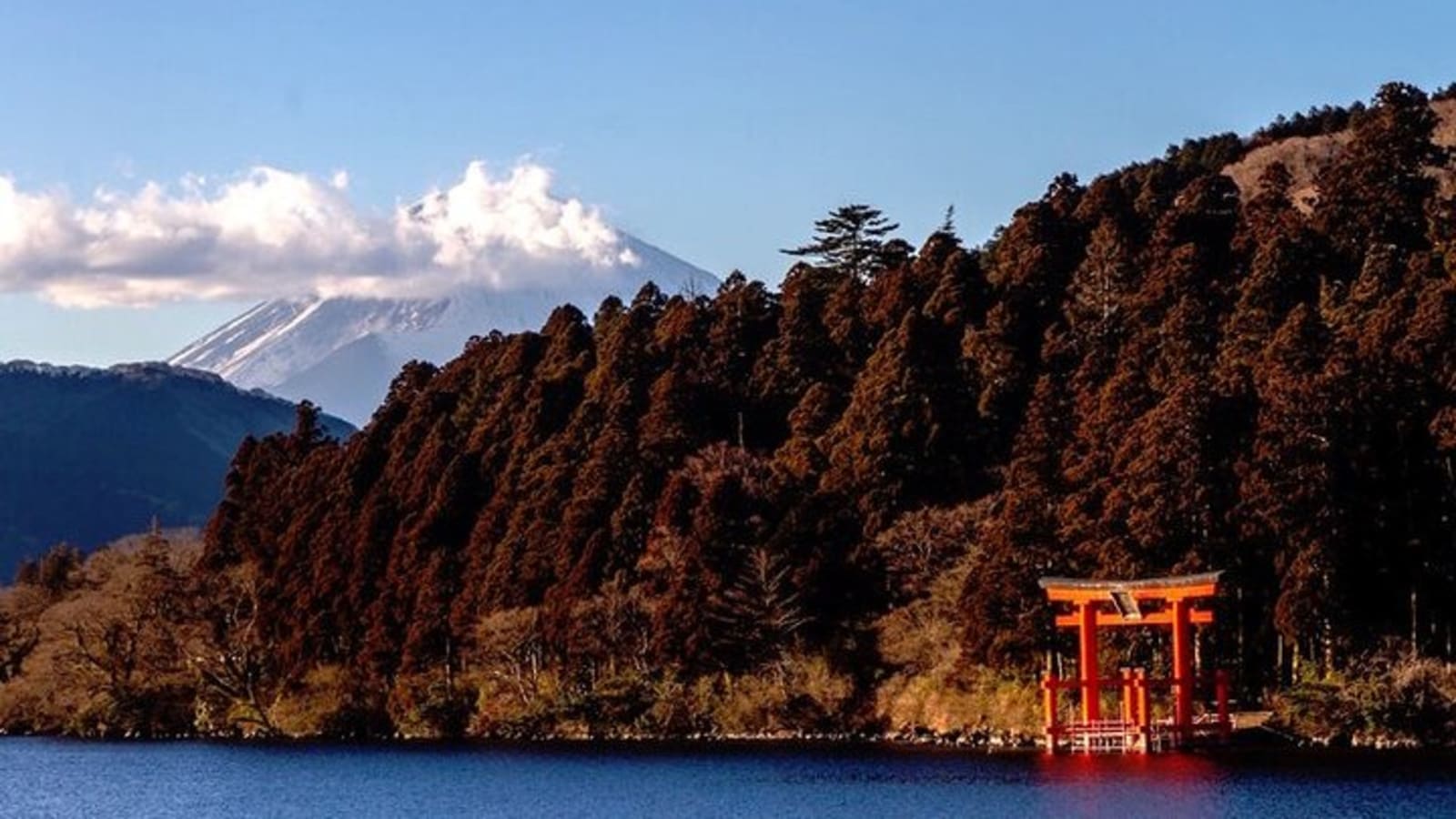 Private Hakone Tour View of Mt. Fuji, Nature and Culture