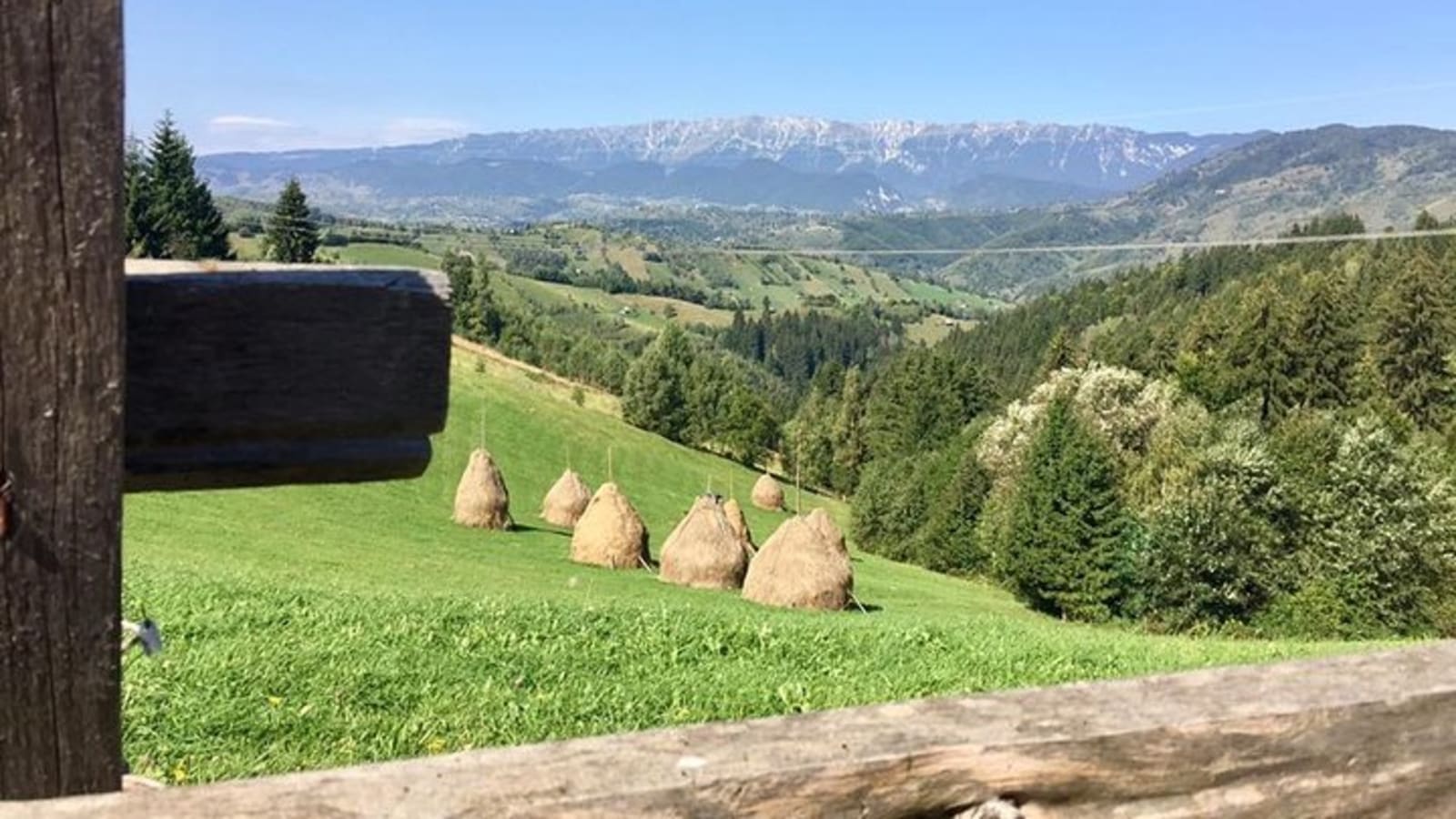 PRIVATE Day Hike on rollings hills near Bran Castle, through mountain villages