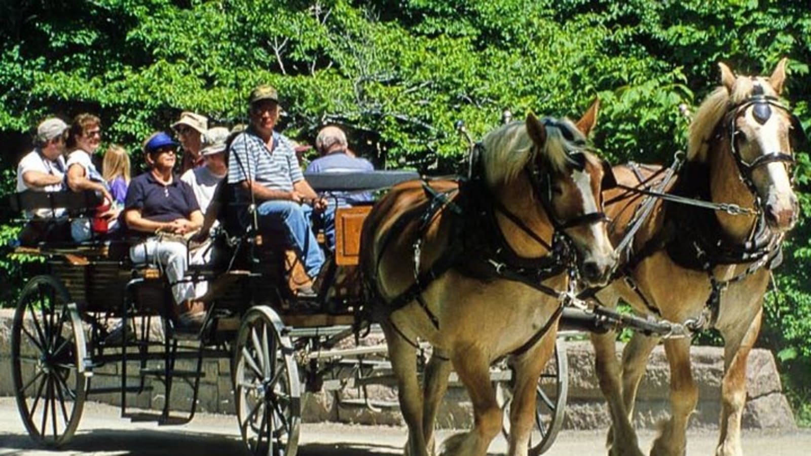 Gourmet tour with horse-drawn carriage & Optional Visit a Wildlife Observatory