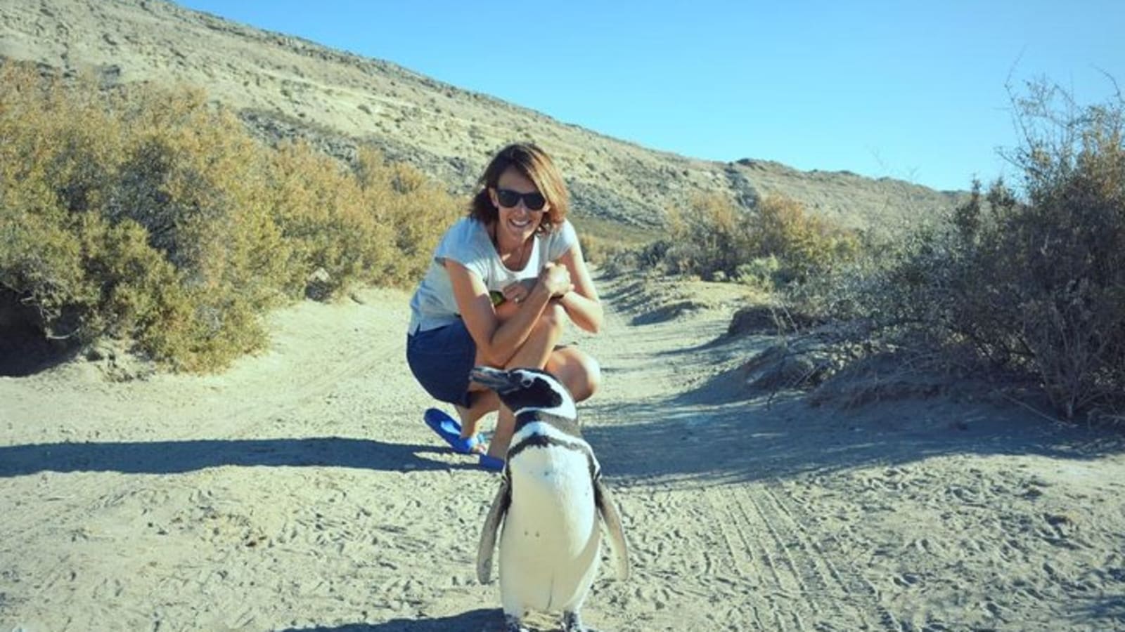 Patagonia Ranch and El Pedral Penguin Colony Tour from Puerto Madryn