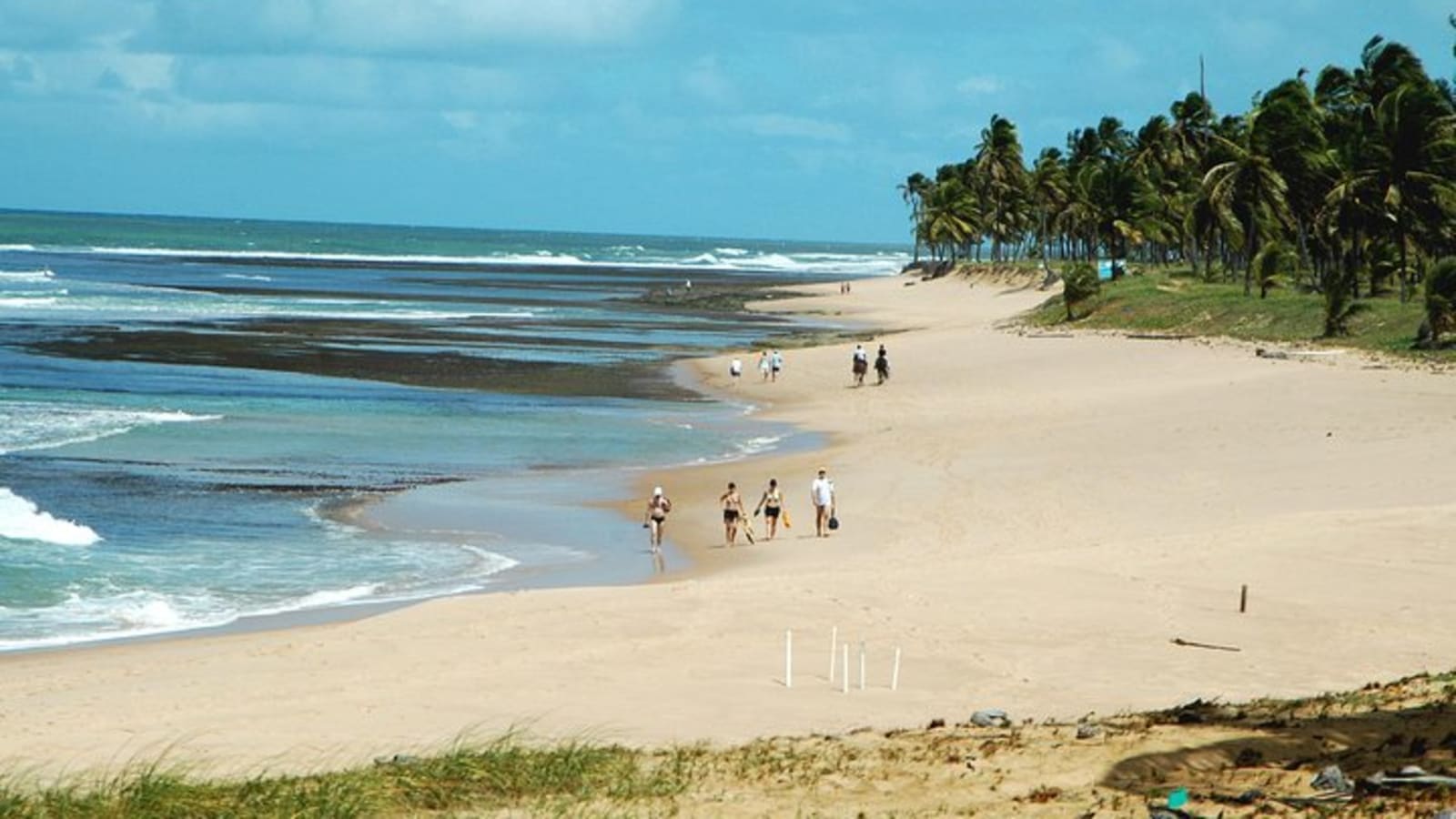 Praia Do Forte & Guarajuba Beach Day Trip