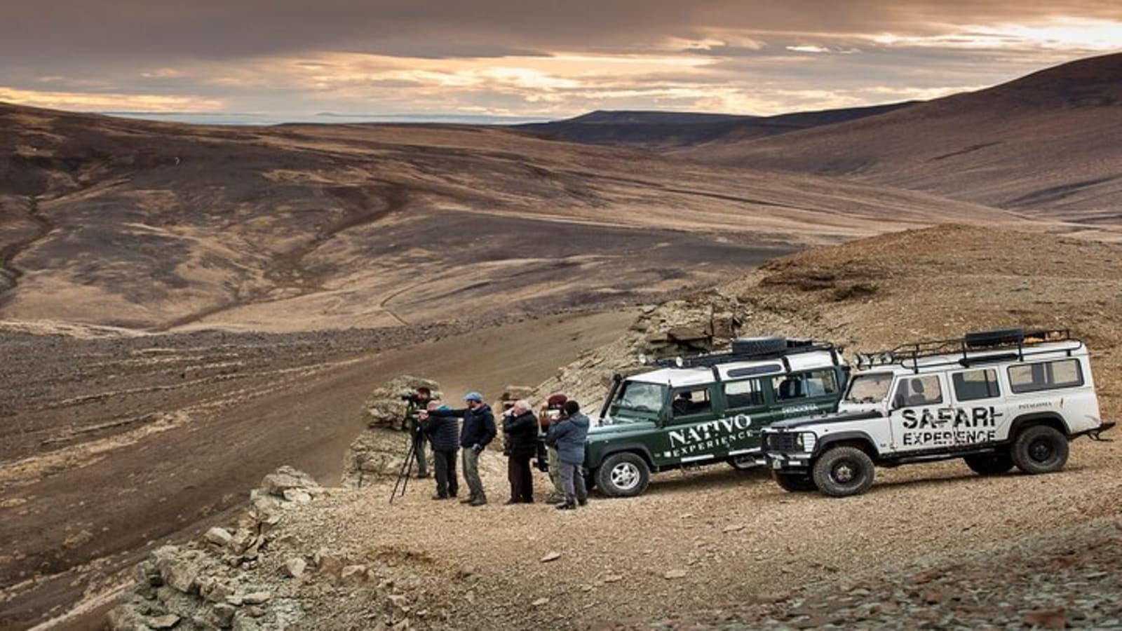 El Calafate Safari Experience