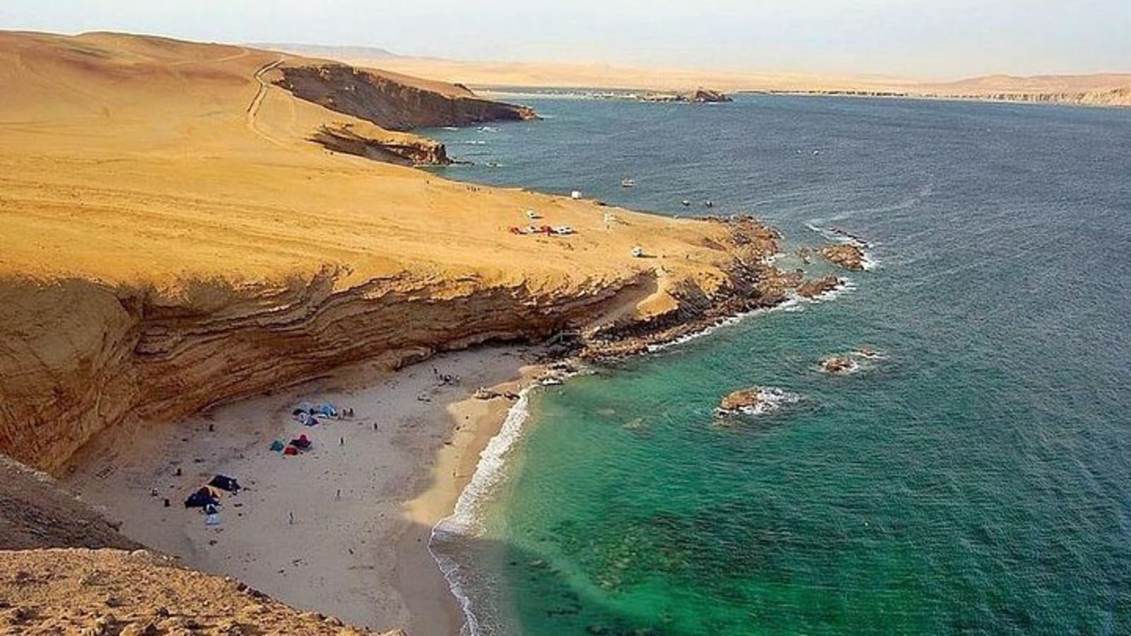 Paracas National Reserve Half Day Tour