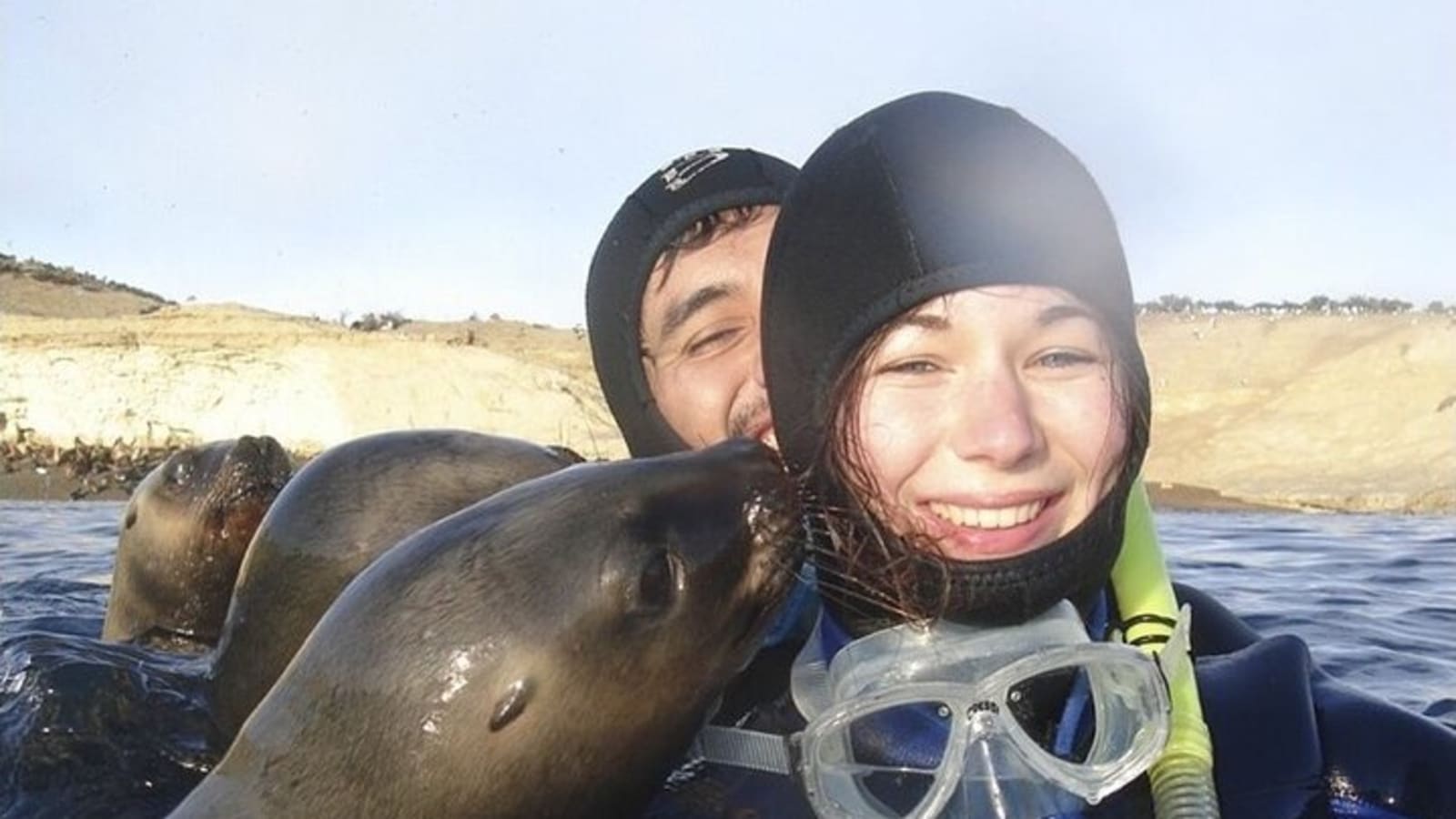 Snorkeling with Sea Lions in Puerto Madryn