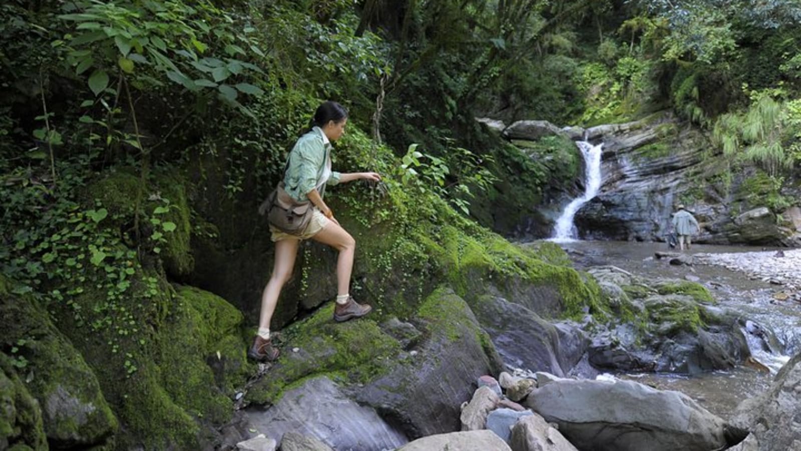 Yungas Half-Day Tour from Tucuman