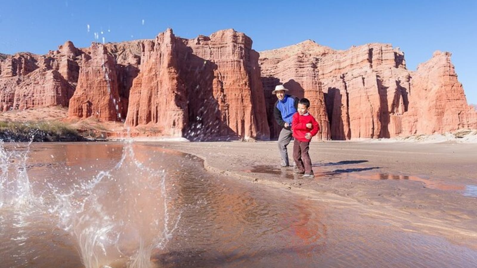 Cafayate, Vineyards and Calchaquies Valleys Tour from Salta