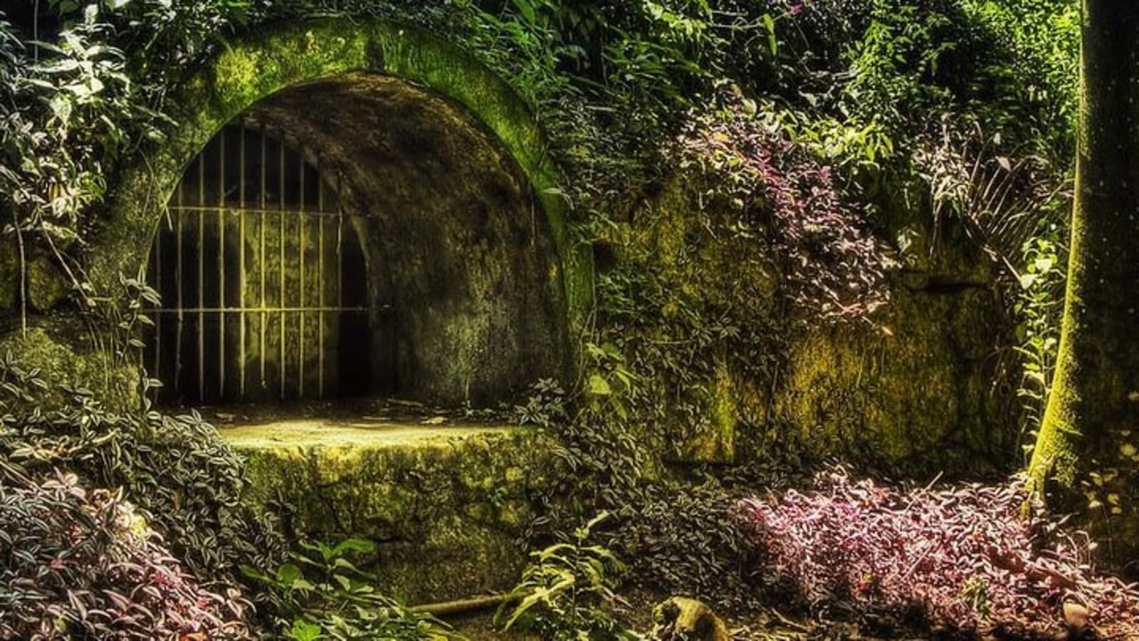 Historic Tour in Iha Grande