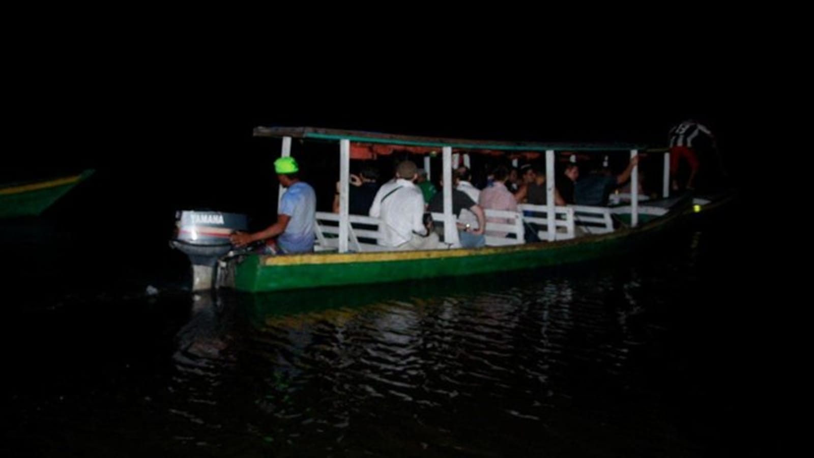 Alligators Night Watch