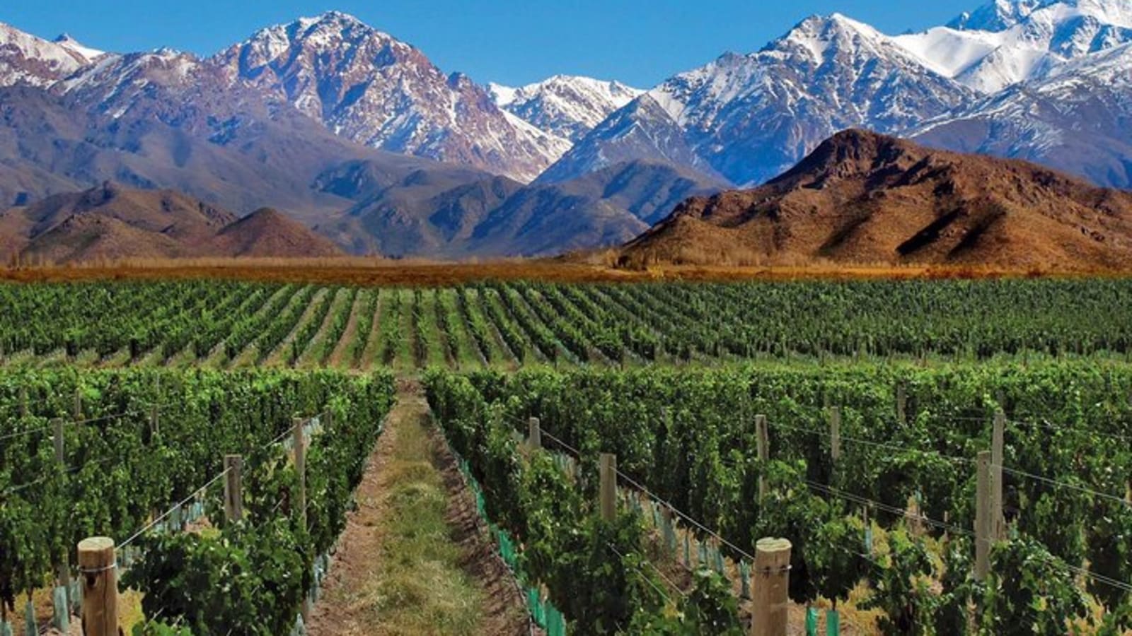 4-Days Trip to Mendoza and The Andes