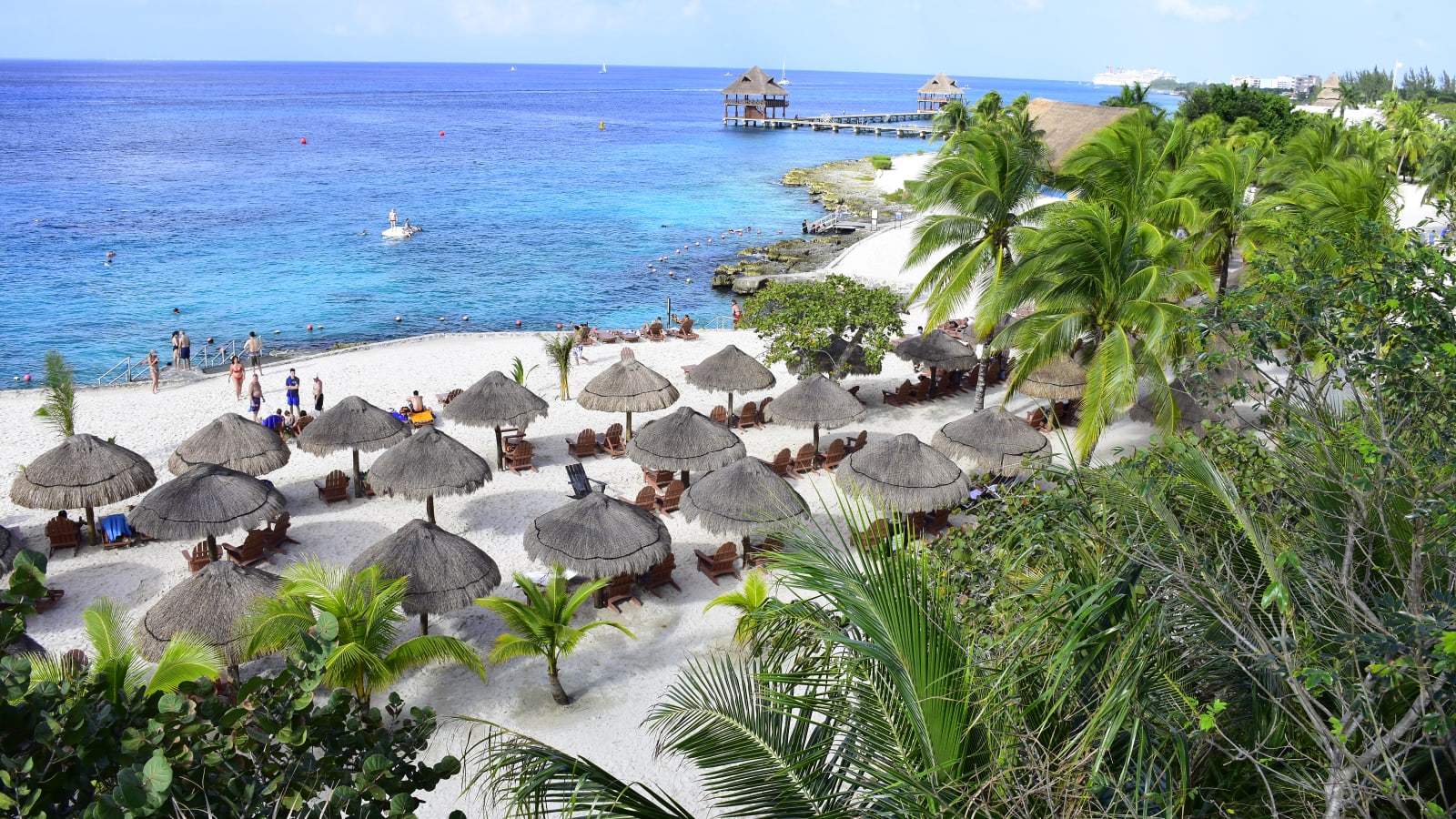 Sea Lion Discovery at Cozumel
