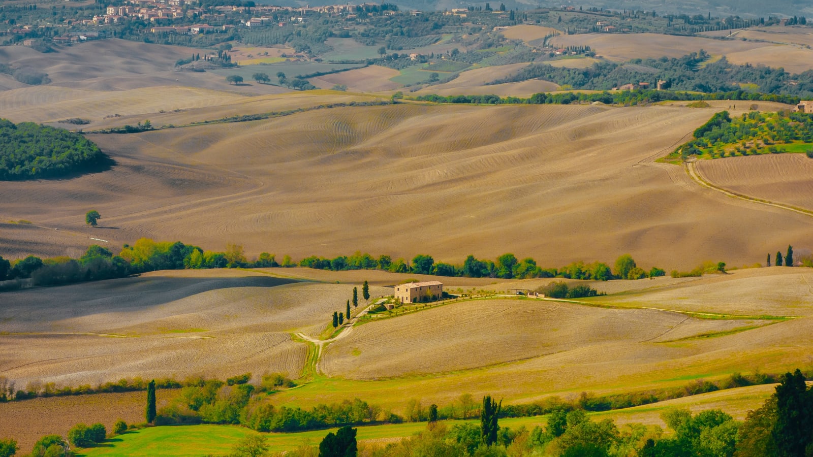 Montepulciano: Wine Tasting & Lunch in a typical winery