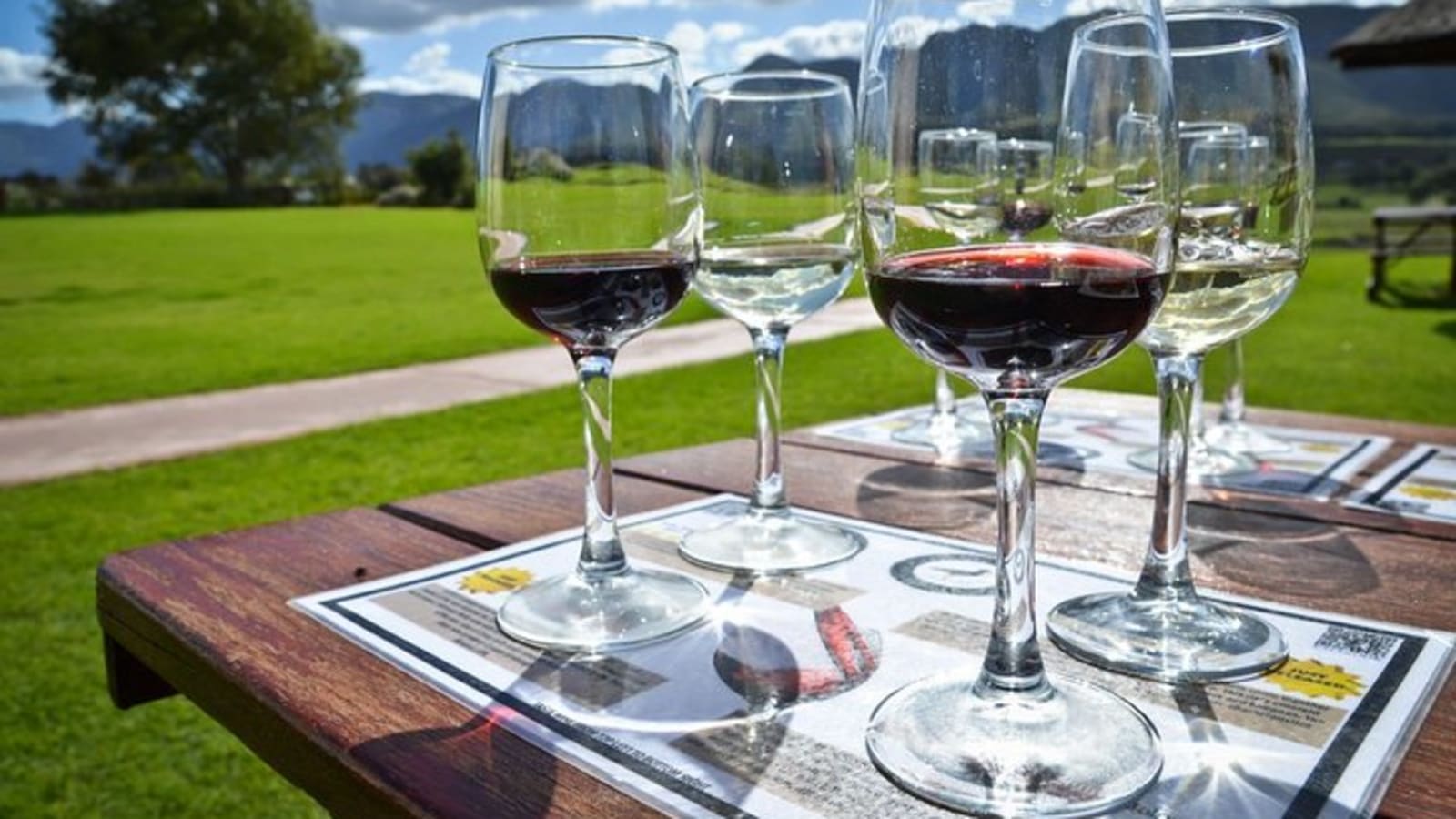 Full day Cape Winelands ( Stellenbosch and Franschoek )