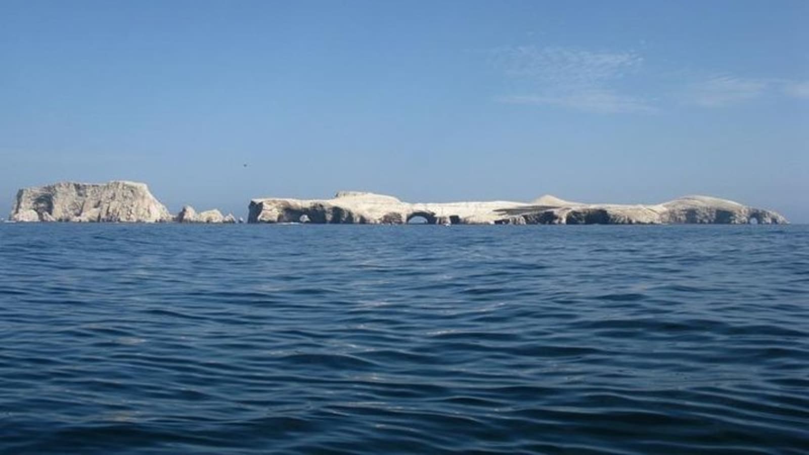 Ballestas Islands Sigthseeing Tour
