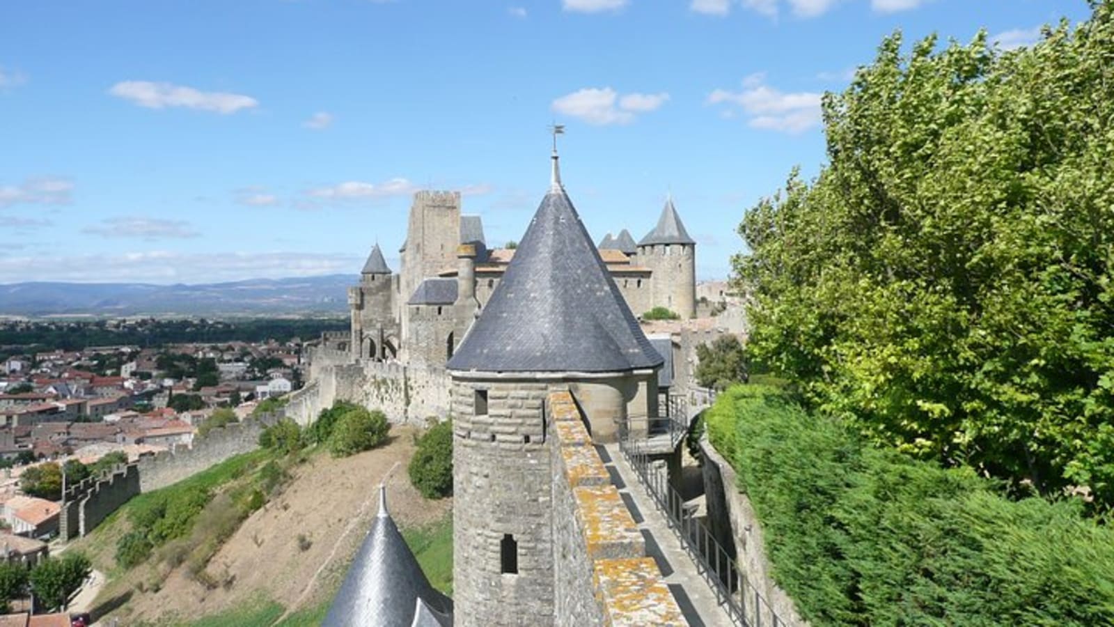 Day tour : Cité de Carcassonne and wine tasting. private tour from Carcassonne.