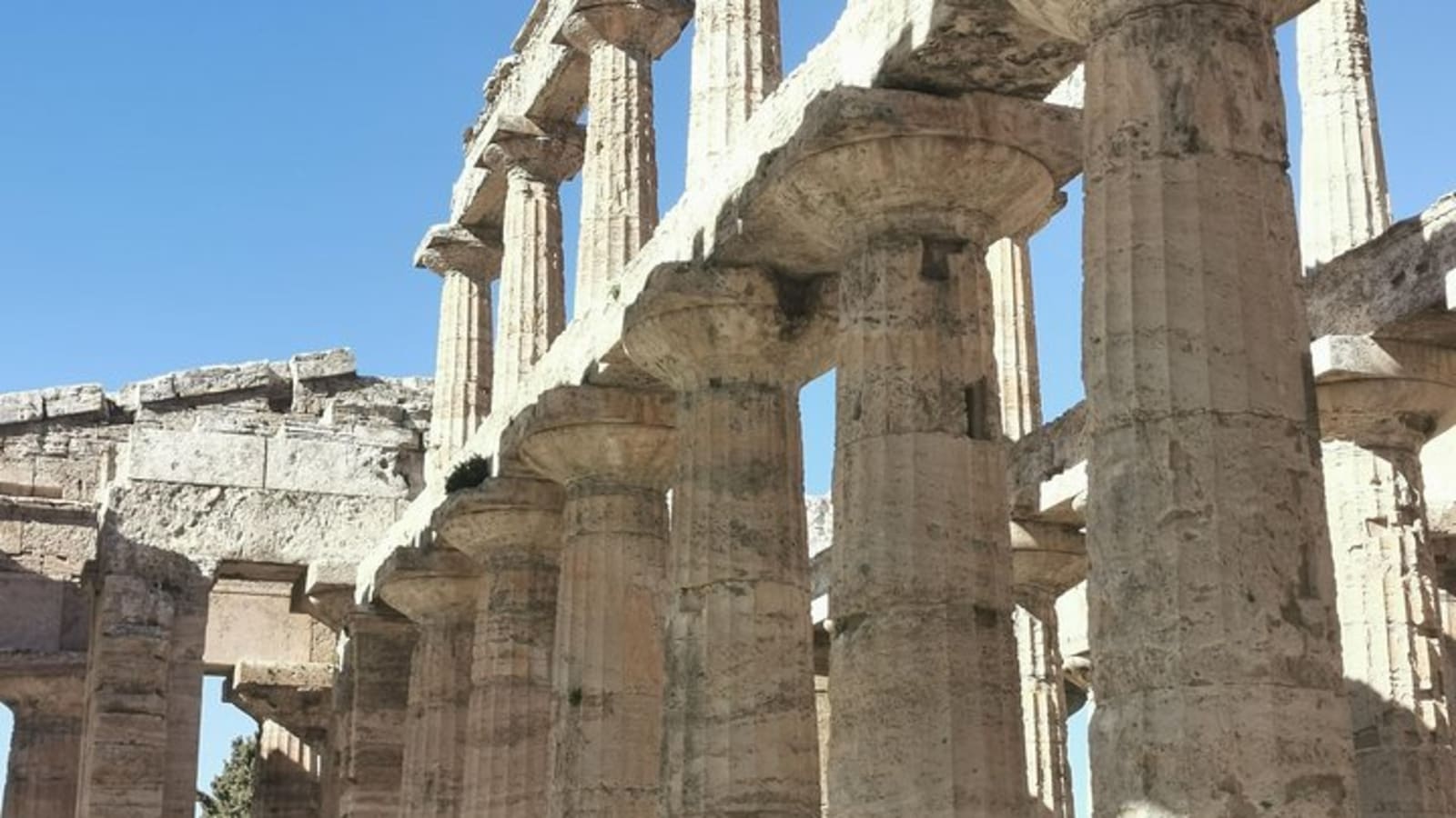 Discovering Napoli,Paestum, mozzarella&wine tasting