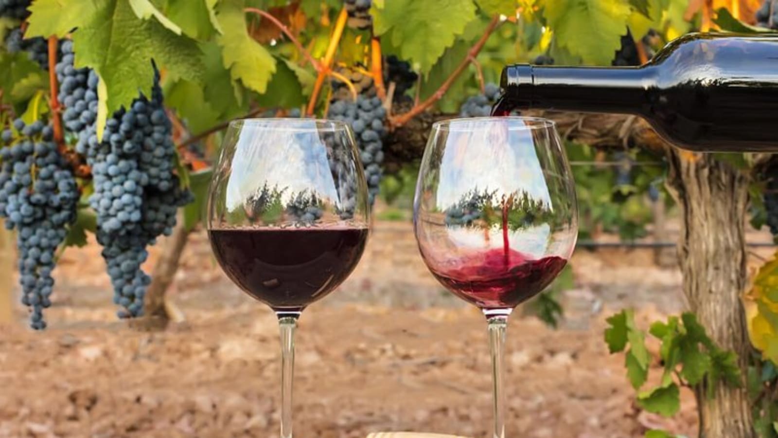 7-Days Unique Experience visiting the best Chilean & Argentinean Wine Valleys!