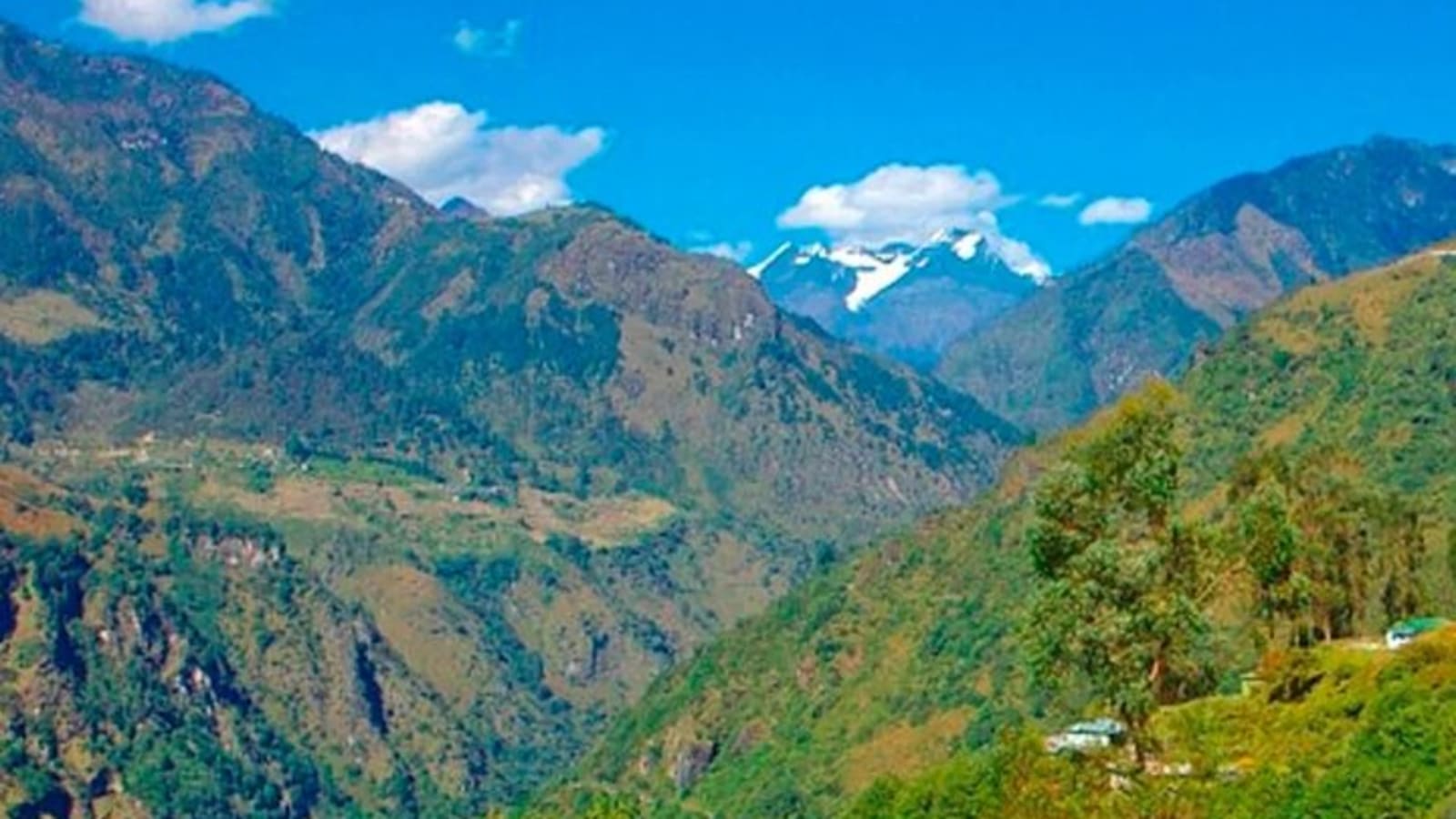Tribal Trails of Arunachal: A Cultural Odyssey