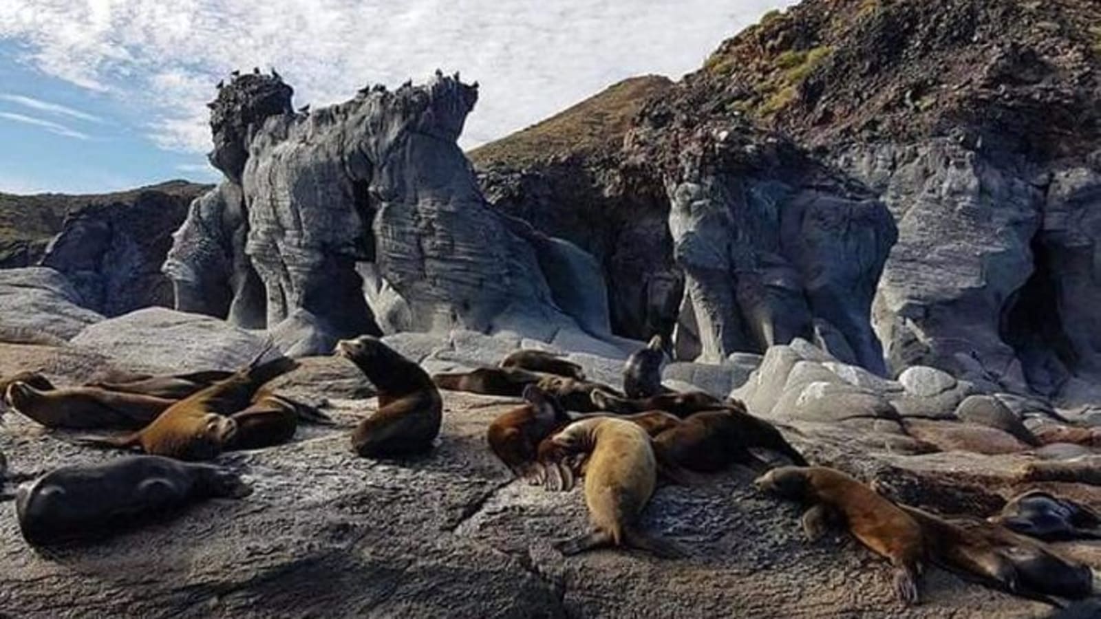 UNESCO World Heritage Site: 1 Day Coronado Island from Loreto Adventure