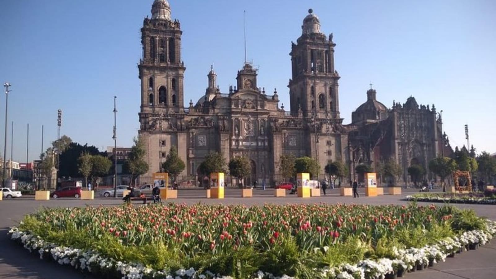 Private Tour of Mexico City with Anthropology