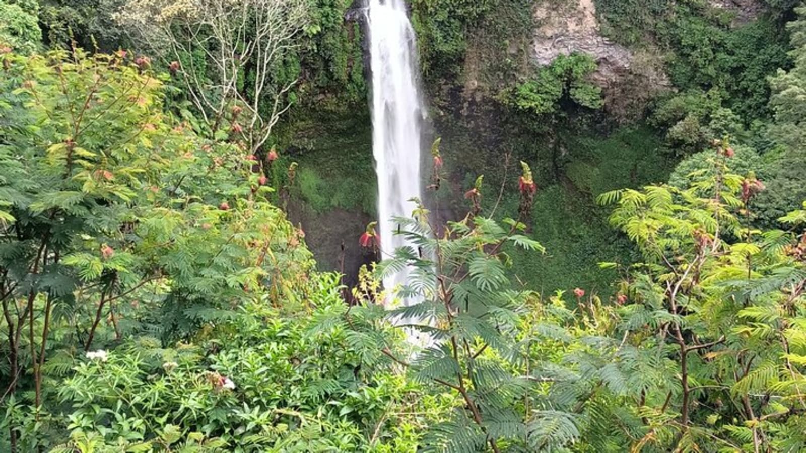 Jakarta Bogor Botanical Garden, Waterfall and Rice terrace, Lunch