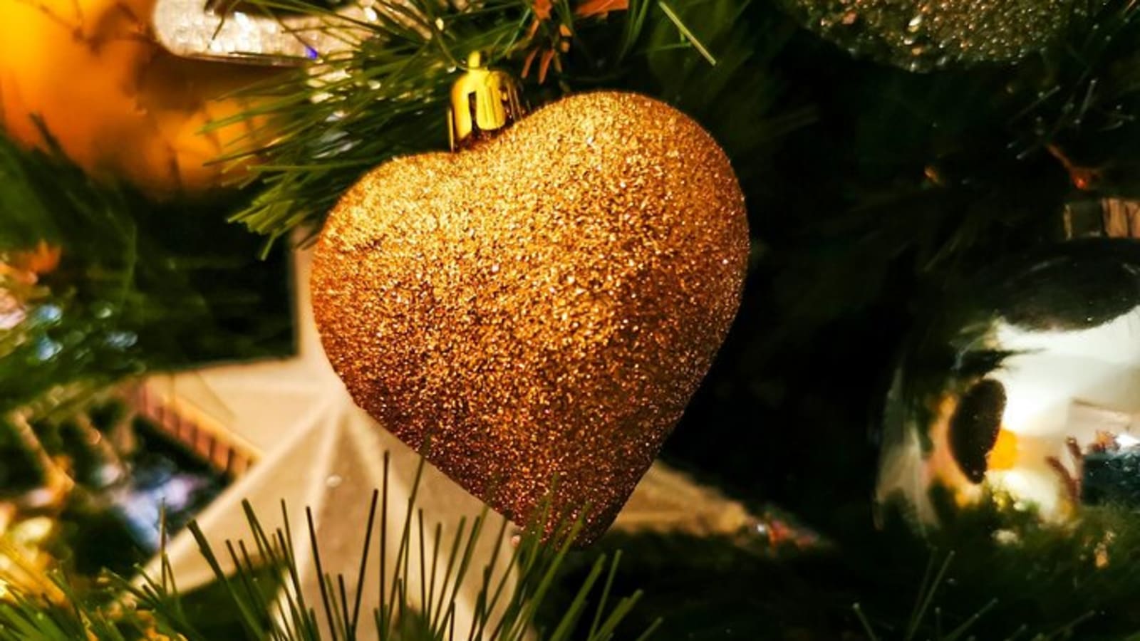 Yuletide Magic in Zadar: A Private Christmas Journey