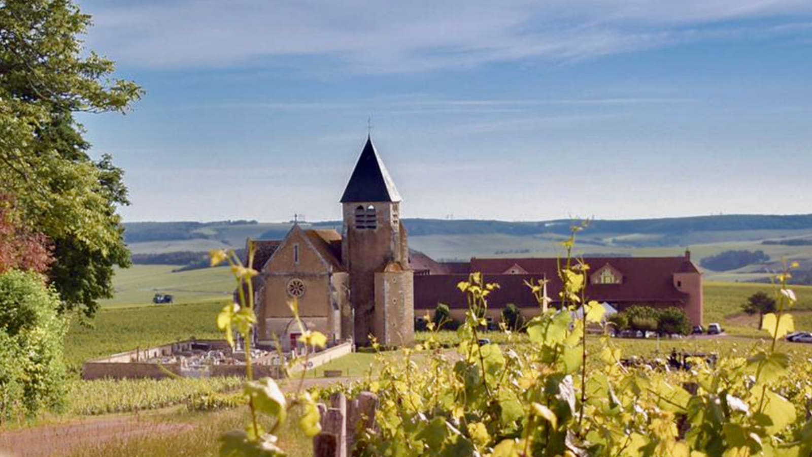 Private Burgundy 3 Domaines Chateau Pommard Chablis 15 Wines Trip from Paris.