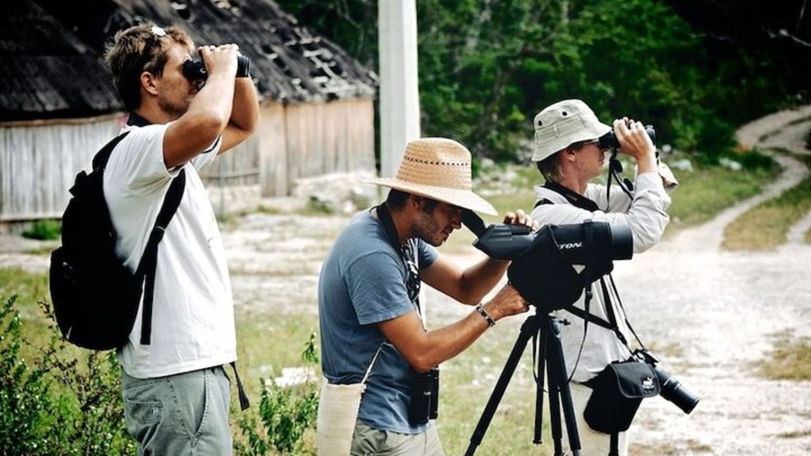 Private Birdwatching Tour in Sian Ka'an Muyil