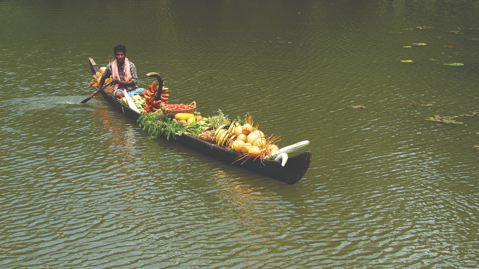 Coastal Serenity: Backwaters, Tea Estates & Marari Beach