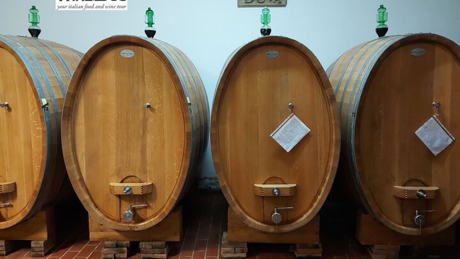 Private Tintilia del Molise Wine Tour from CAMPOBASSO