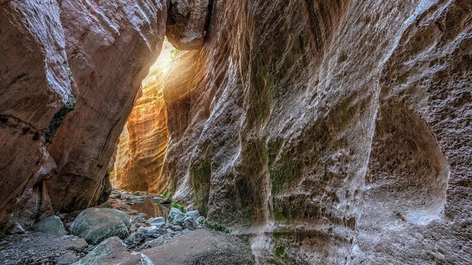Jeep Safari to Akamas National Park: Avakas Gorge Tour from Paphos
