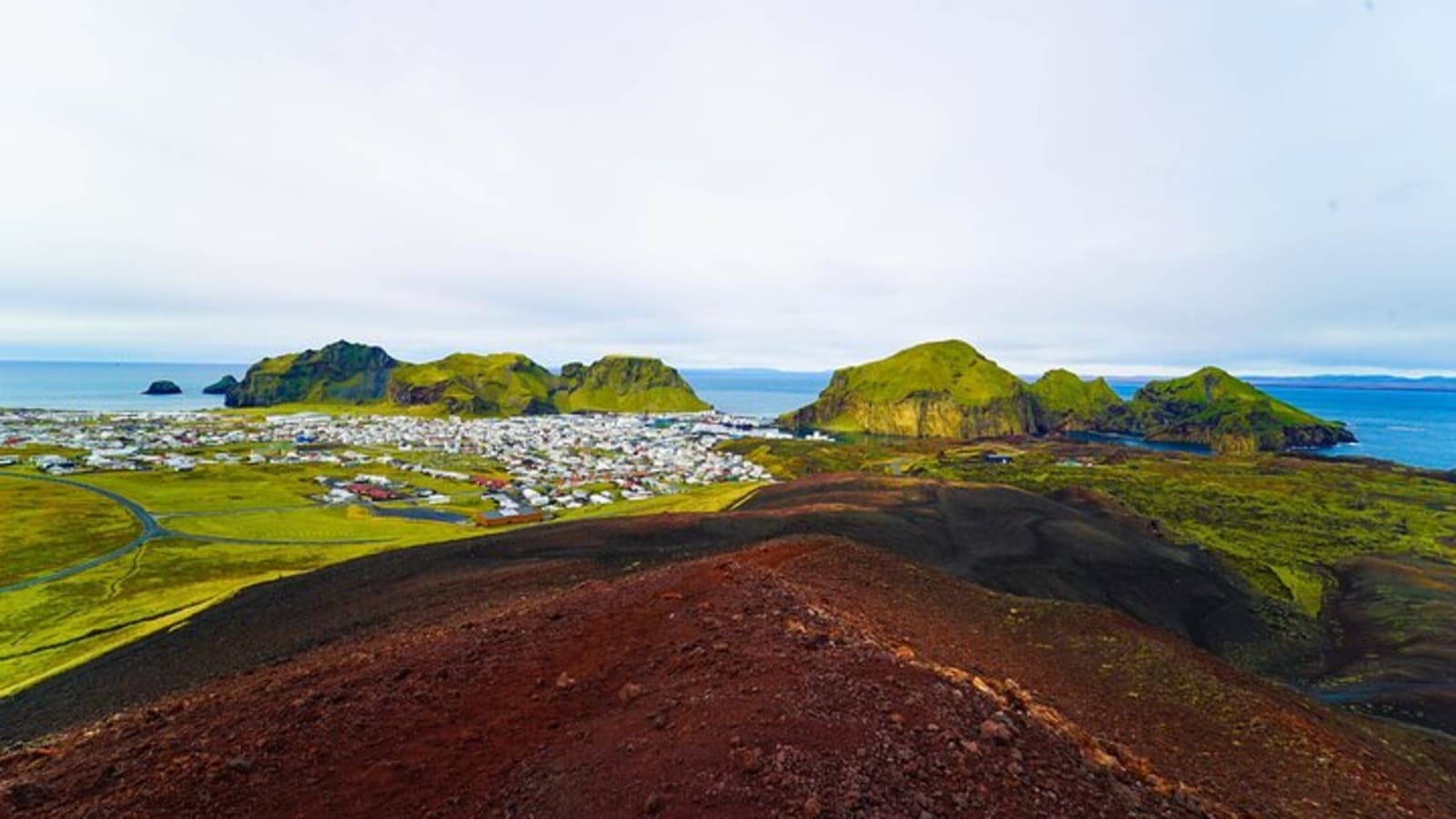 Vestmannaeyjar Private Day Tour