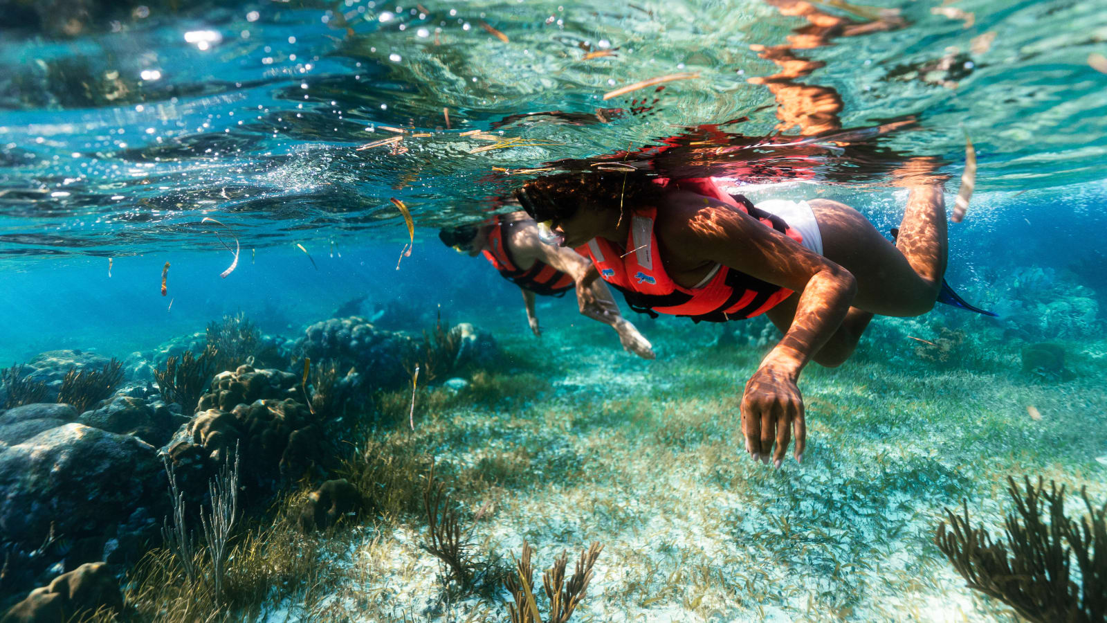 Puerto Morelos Reef Snorkeling Adventure with beachside lunch